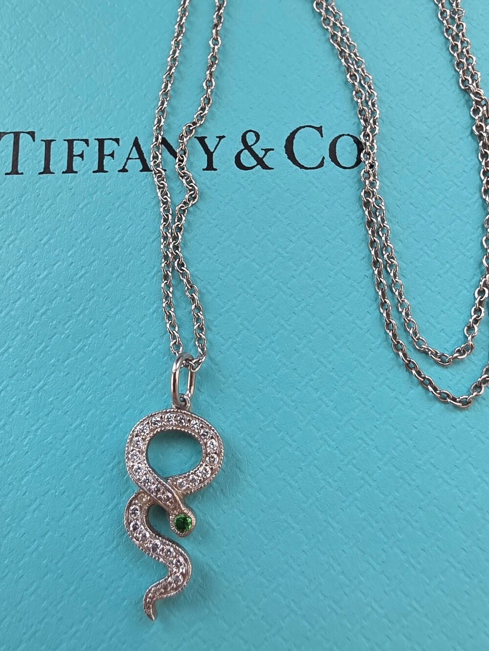 Tiffany & Co. Platinum Diamond Tsavorite Snake Serpent Charm Necklace